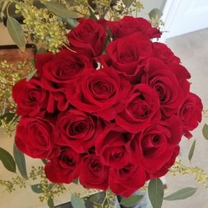 Meet your Posher, Debra